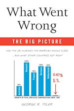 What Went Wrong: The Big Picture
