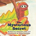 The Mysterious Secret