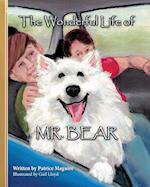 The Wonderful Life of Mr. Bear