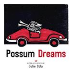 Possum Dreams