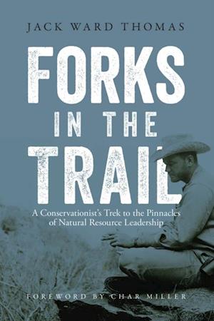 Forks in the Trail