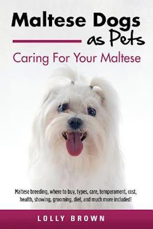 Maltese Dogs as Pets