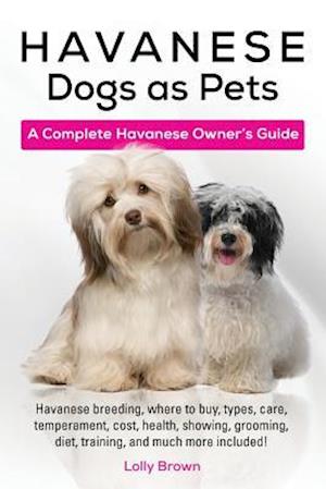 Havanese Dogs as Pets