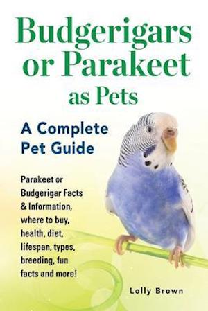 Budgerigars or Parakeet as Pets