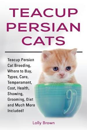Teacup Persian Cats