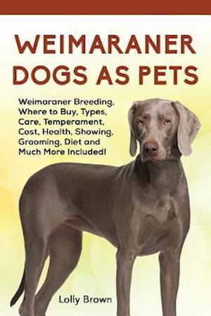 Weimaraner Dogs as Pets