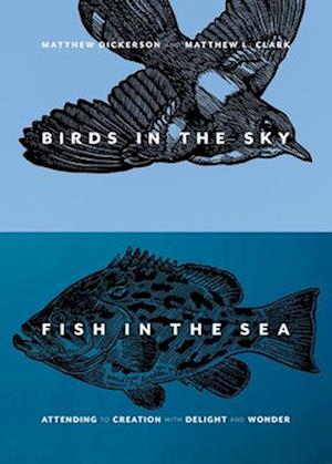 Birds in the Sky, Fish in the Sea