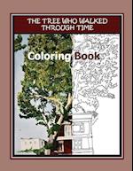 The Tree Who Walked Through Time Coloring Book