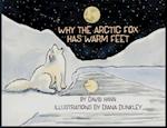 Why The Arctic Fox Has Warm Feet 