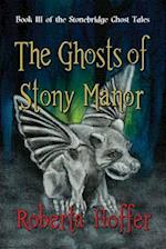 The Ghosts of Stony Manor