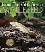 Next Time You See a Maple Seed