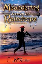 Meandering Between The Raindrops: A Travel Memoir 