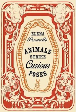 Animals Strike Curious Poses