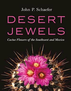 Desert Jewels