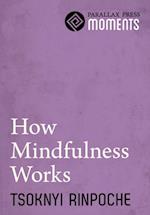 How Mindfulness Works