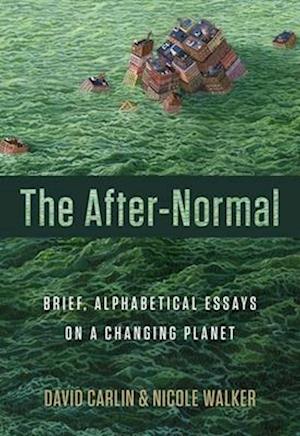 The After-Normal