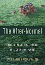 The After-Normal