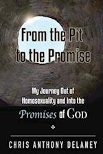 From the Pit to the Promise