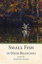 Small Fish in High Branches