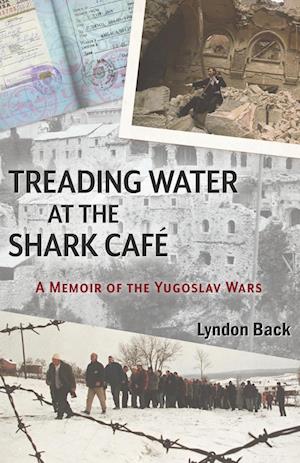 Treading Water at the Shark Café