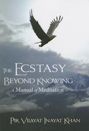 The Ecstasy Beyond Knowing