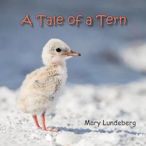 A Tale of a Tern