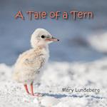 A Tale of a Tern 