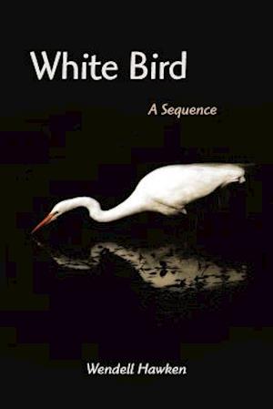 White Bird