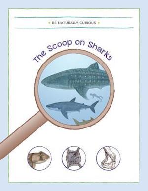 The Scoop on Sharks