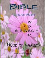 Bible Large Print Word Search