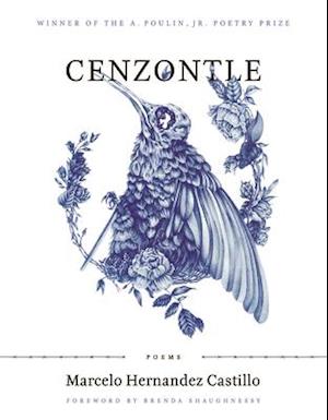 Cenzontle