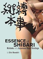 Essence of Shibari