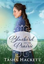 Bluebird on the Prairie