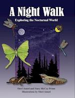 A Night Walk