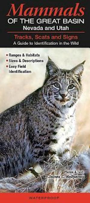 Mammals of the Great Basin Nevada and Utah