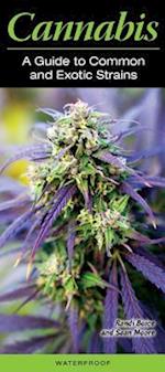 Cannabis a Guide to Common and Exotic Strains