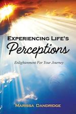 Experiencing Life's Perceptions