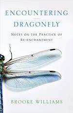 Encountering Dragonfly