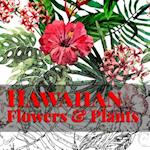 Hawaiian Flowers & Plants