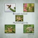 Broad-tailed Hummingbirds