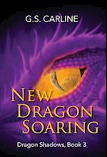 New Dragon Soaring