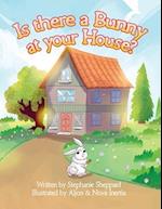 Is There a Bunny at Your House? 