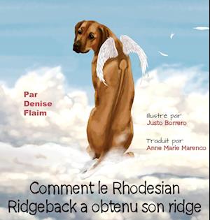 Comment Le Rhodesian Ridgeback a Obtenu Son Ridge