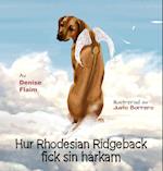 Hur Rhodesian Ridgeback Fick Sin Harkam