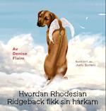 Hvordan Rhodesian Ridgeback Fikk Sin Harkam