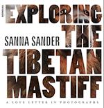 Exploring the Tibetan Mastiff
