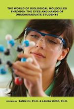 World of Biological Molecules Through the Eyes and Hands of Undergraduate Students