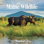 2025 Maine Wildlife Wall Calendar