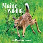 2026 Maine Wildlife Wall Calendar