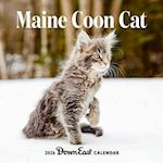 2026 Maine Coon Cat Wall Calendar